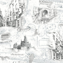 Load image into Gallery viewer, HARRY POTTER MAP PEEL & STICK WALLPAPER
