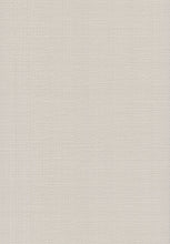 Load image into Gallery viewer, Dutch Braid