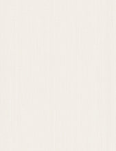 Load image into Gallery viewer, Dutch Braid