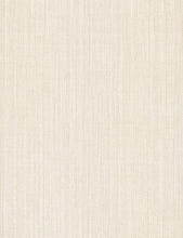 Load image into Gallery viewer, Dutch Braid