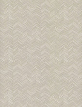 Load image into Gallery viewer, Paloma Texture