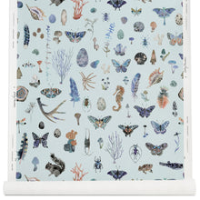 Load image into Gallery viewer, Specimens Wallpaper in Blue