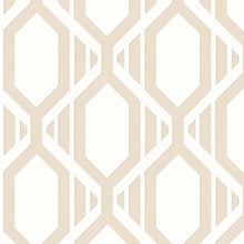 Load image into Gallery viewer, Prepasted, Peelable, Scrubbable