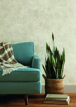 Load image into Gallery viewer, Plaster Finish