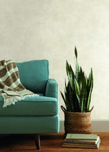 Load image into Gallery viewer, Plaster Finish