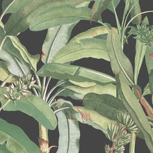 Load image into Gallery viewer, wallpaper, wallpapers, floral, flowers, stems, leaves, tropical, exotic