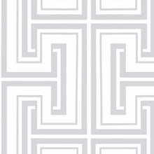 Load image into Gallery viewer, Prepasted, Peelable, Scrubbable