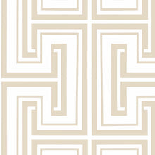 Load image into Gallery viewer, Prepasted, Peelable, Scrubbable