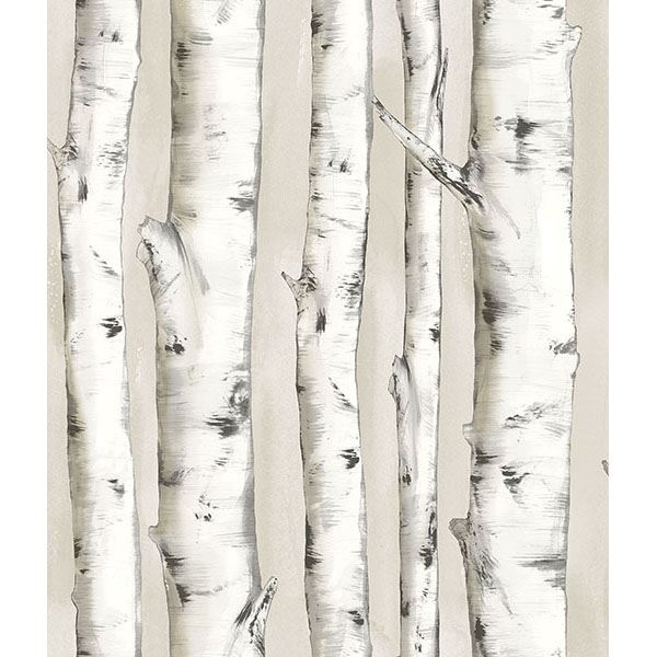 Pioneer Birch Tree Wallpaper