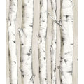 Pioneer Birch Tree Wallpaper