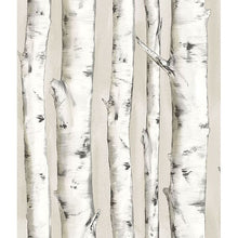 Load image into Gallery viewer, Pioneer Birch Tree Wallpaper