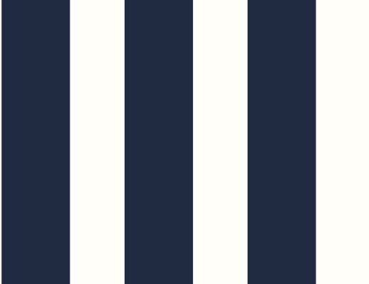 Designer Stripe - Black & White