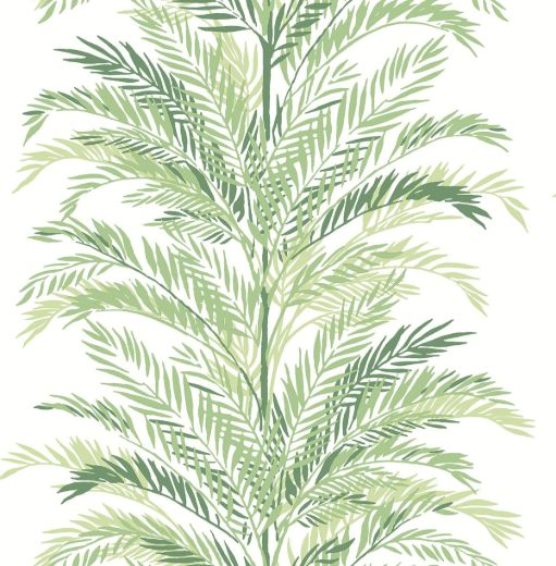 Keana Palm - Paradise Green