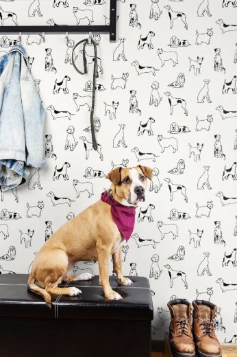 Best in Show - Indigo