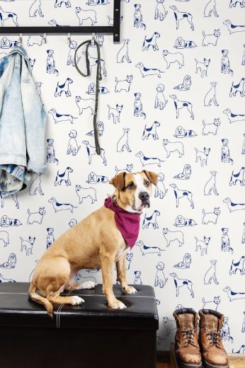 Best in Show - Indigo