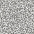 Classic Leopard - Natural Tan