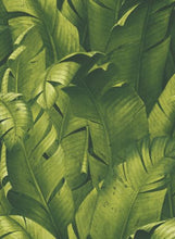 Load image into Gallery viewer, TROPICAL BANANA LEAVES PEEL AND STICK WALLPAPER