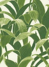 Load image into Gallery viewer, BANANA GROVES PEEL AND STICK WALLPAPER