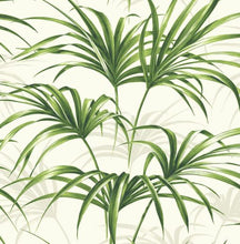 Load image into Gallery viewer, TROPICAL PALM LEAF PEEL AND STICK WALLPAPER