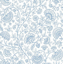 Load image into Gallery viewer, PAISLEY TRAIL PEEL AND STICK WALLPAPER