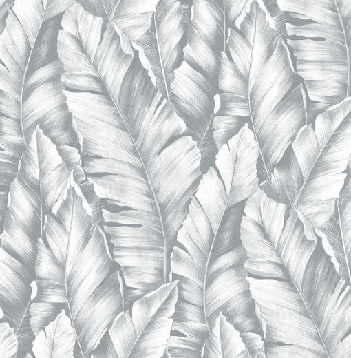 Baha Banana Leaves - Daydream Gray