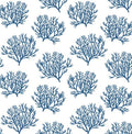 Coastal Coral Reef - Vermillion