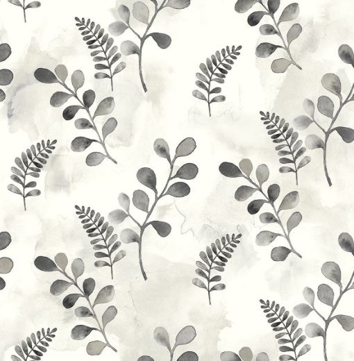 Woodland Walk - Summer Fern