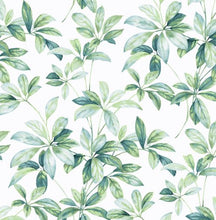 Load image into Gallery viewer, LEAF TRAIL PEEL AND STICK WALLPAPER