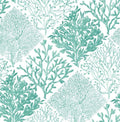 Seaweed - Vermillion