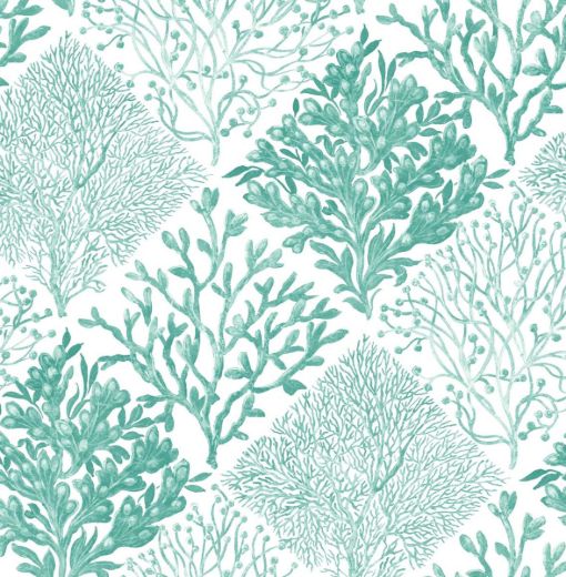 Seaweed - Vermillion