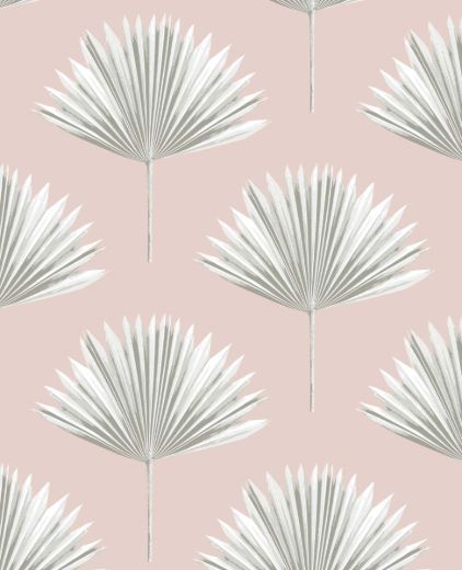Tropical Fan Palm - Pink Mist