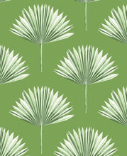 Load image into Gallery viewer, TROPICAL FAN PALM PEEL AND STICK WALLPAPER