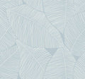 Summer Magnolia - Blue Skies