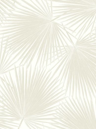 Aruba Palm - Sea Salt