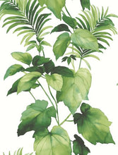 Load image into Gallery viewer, LEAF STRIPE PEEL AND STICK WALLPAPER