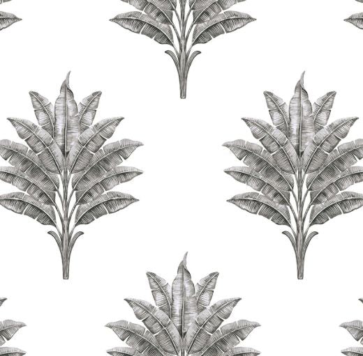 Sea Breeze Palm - Charcoal