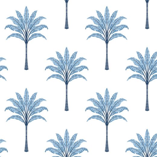 Montgomery Palm - Blue Lake