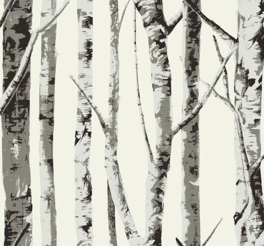 Winter Birch - Greystone