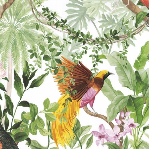 Tropical Bird - White
