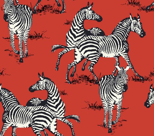 Playful Zebras - Red