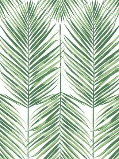 PARADISE PALMS PEEL AND STICK WALLPAPER