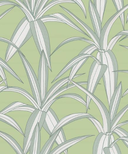 Tossed Cradle Plant - Spring Green