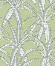 Load image into Gallery viewer, TOSSED CRADLE PLANT PEEL AND STICK WALLPAPER