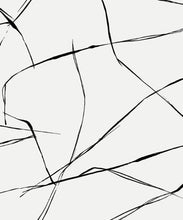 Load image into Gallery viewer, INKWORK ABSTRACT PEEL AND STICK WALLPAPER