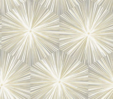 Load image into Gallery viewer, HEX STARBURST PEEL AND STICK WALLPAPER