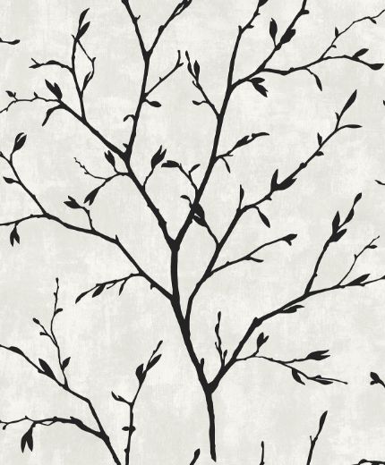 Tree Silhouette - Contrast