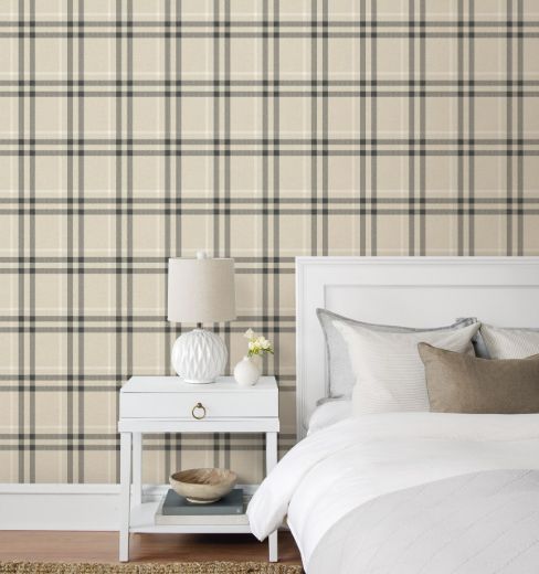 Calverlay Plaid - Blue & Red