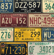Load image into Gallery viewer, LICENSE PLATES PEEL AND STICK WALLPAPER