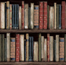 Load image into Gallery viewer, FAUX BOOKSHELVES PEEL AND STICK WALLPAPER
