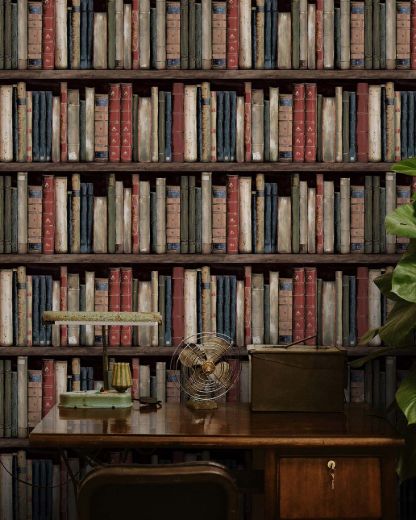 Faux Bookshelves - Earth & Ember